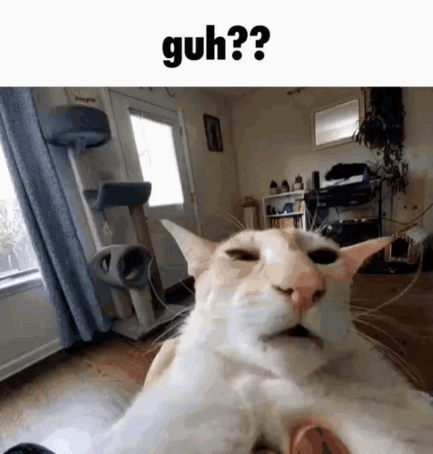 huh???